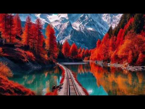 قراءة من سورة الصافات 22 144 بصوت الشيخ صلاح بو خاطر 