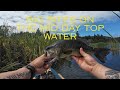 Vancouver Island Top water bass vs Shimano SLX DC reel