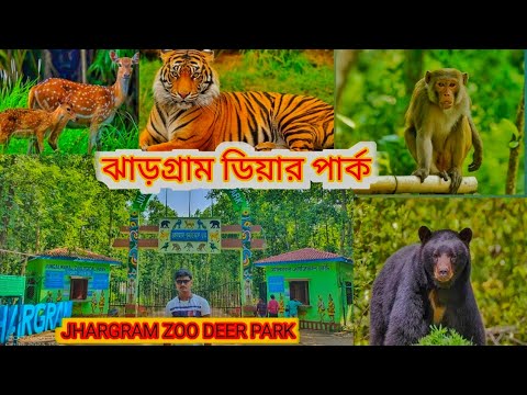 JHARGRAM MINI ZOO  JUNGLEMAHAL ZOOLOGICAL  JHARGRAM DEER PARK  JHARGRAM TOUR jhargram  park  2023