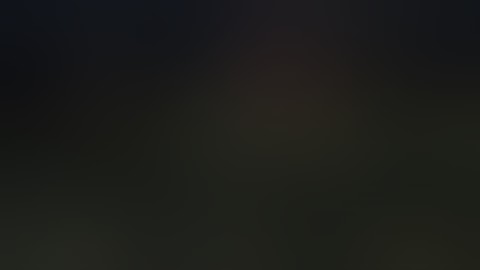 Fallout 4_PlayStation 4_basic companions helper mod_how to add/remove teammates