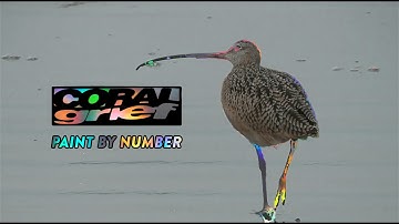 Coral Grief- Paint By Number