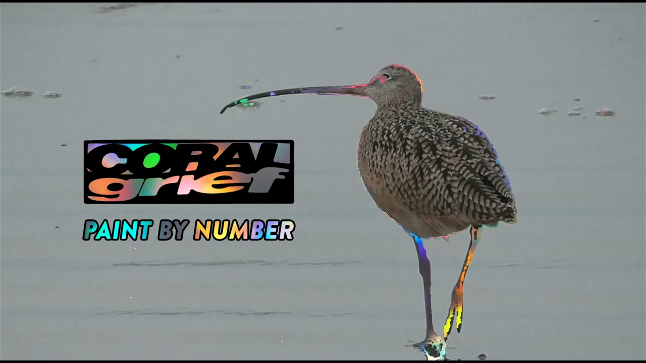 Coral Grief- Paint By Number