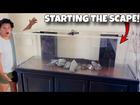Starting The Aquascape Of The 180 Gallon Aquarium 