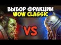 Какую ФРАКЦИЮ выбрать в WoW Classic?