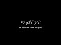 بل كانوا لا يفقهون إلا قليلاً 🍀 محمد ايوب 🍀 كروما  شاشة سوداء قرآن كريم | سورة الفتح