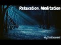 Ambiance de foret la nuit bruit blanc asmr relaxation et bien dormir