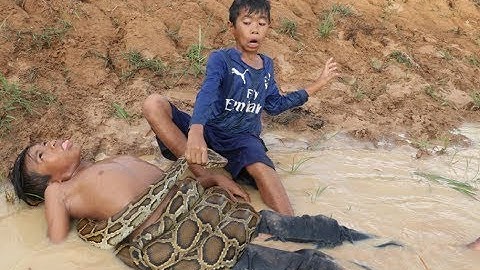 Amazing Two Brave Boys Catch Big Snake in the Canal While Finding Food
