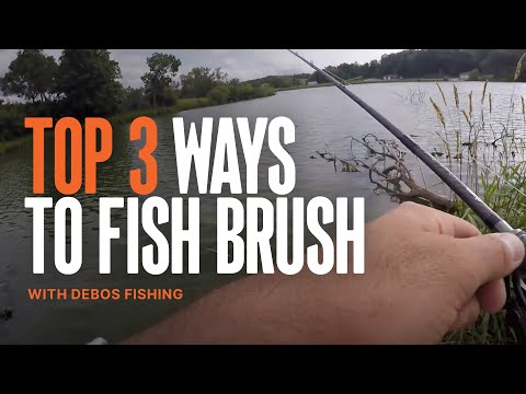 Top 3 Ways to Fish Brush