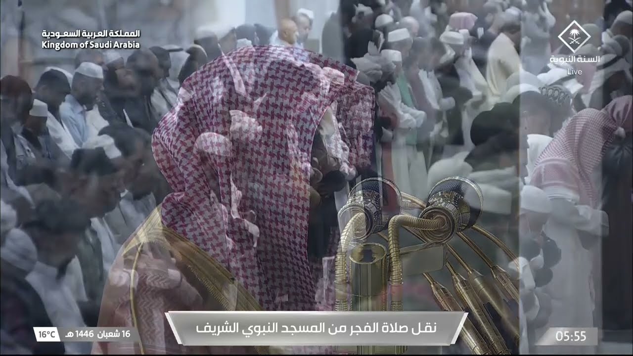صلاة الفجر للشيخ عبدالله القرافي 16 شعبان 1446هـ