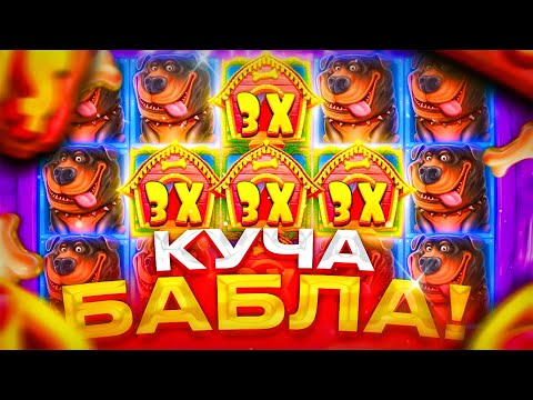 Видео: ОФОРМИЛ КУЧУ БОНУСОМ ПО 400Р в THE DOG HOUSE !!! ЗАНОСЫ !!!