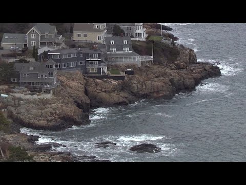 Video: Aké stromy rastú v Massachusetts?