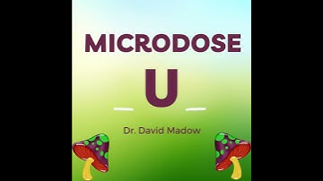 The 2024 Absolute Beginners Guide to Microdosing Psilocybin Magic Mushrooms