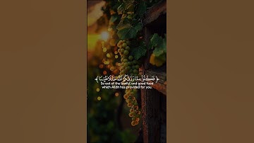 تلاوة خاشعه اسمع بقلبك 🍂🎧#قرآن #قران_كريم #quran #اكسبلور #راحة_نفسية #المصحف #لايك #trending