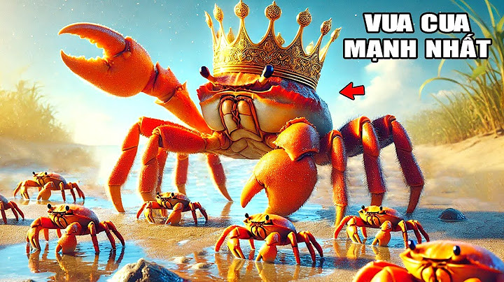 THỬ THÁCH Một Ngày LÀM CON CUA MẠNH NHẤT THẾ GIỚI | King Of Crabs