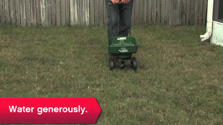How To Improve Your Lawn - Ace Hardware