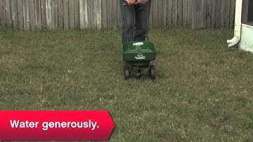 How To Improve Your Lawn - Ace Hardware
