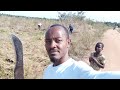 Rumafrica farm  chanika   tough but good part 1