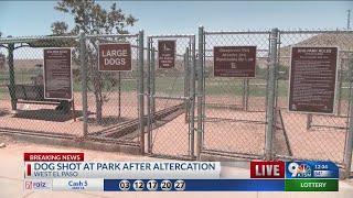 Man accused of killing dog at park