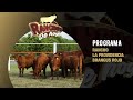 623. Brangus Rojo | Rancho la Providencia | Güemes, Tamaulipas