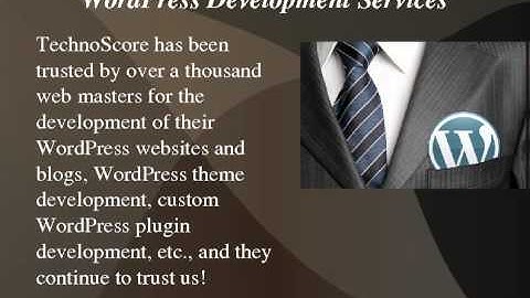 TechnoScore - WordPress Development Services