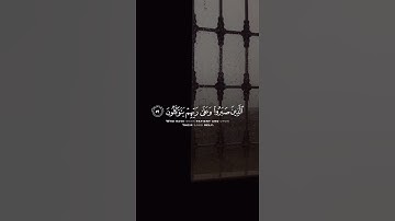 ﴿الذين صبروا وعلى ربهم يتوكلون﴾ تلاوة خاشعة ـ انس الشافعي | حالات واتس اب قران
