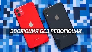 Сравнение iPhone 11 и iPhone Xr: зачем платить меньше? Что выбрать iPhone Xr или iPhone 11?