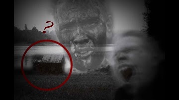 COULD THIS MURDER MYSTERY BE SOLVED? - Disturbing Forensic Science