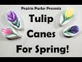 Tulip Cane Tutorial in Polymer Clay