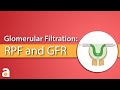 Glomerular filtration renal plasma flow and glomerular filtration rate rpf  gfr