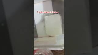 How to grow tomatoes seeds in tissue paper