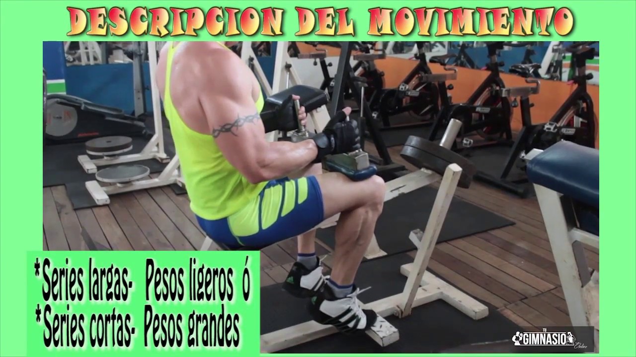 PANTORRILLA -LOS MEJORES EJERCICIOS PARA SU DESARROLLO adultos vacuna sarampion