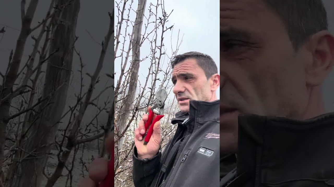 Puterea din spatele.. foarfecii.. 