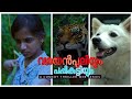 വരയൻ പുലിയും പപ്പികുട്ടിയും | Single Watch | ഫുൾ വീഡിയോ | Web Series Single Episode