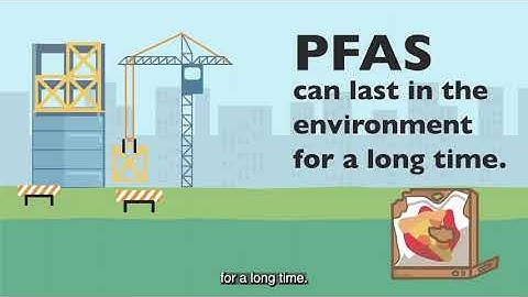 PFAS Hazard Index: English