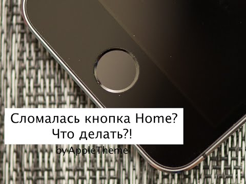 Накрылась кнопка Home! Что делать?