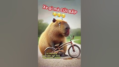 Capybara khóc vì gặp phải chiếc xe Cùi Bắp. Ai mua cho em chiếc 🚲🚲🚲 đi mà!!!!