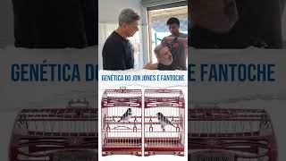 GENÉTICA DO JON JONES E FANTOCHE #nutribiotica