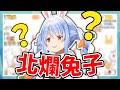 【VTuber中文】兔子「綱領是什麼？悲情？」