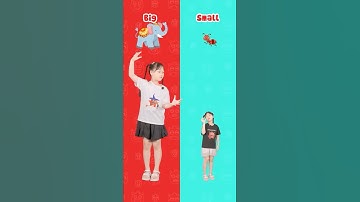 Bé học tiếng Anh qua hoạt hình: Opposite Words in English- Big vs Small #shorts #kidslearning #words