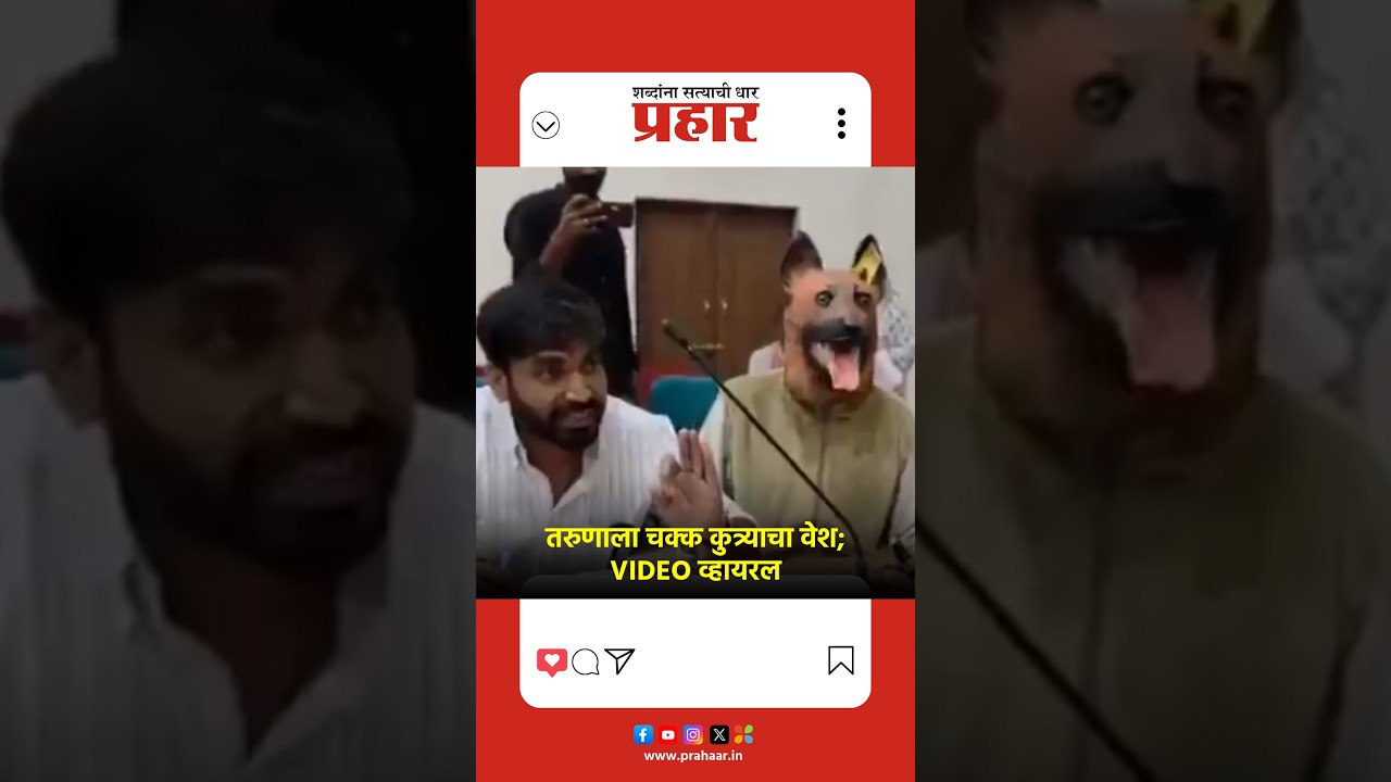 तरुणाला चक्क कुत्र्याचा वेश; VIDEO व्हायरल
