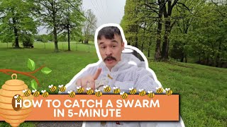 How to Catch a Swarm of Bees in Under 5 Minutes!