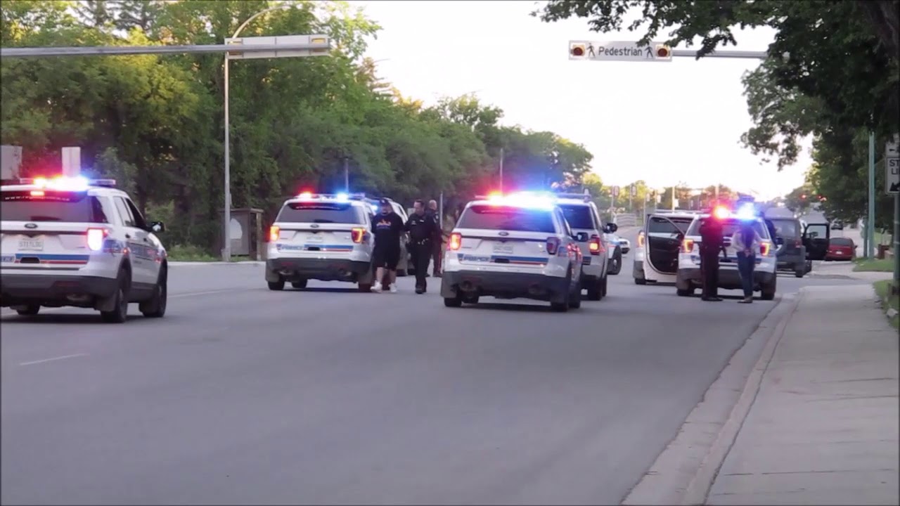 High Risk Traffic Stop Leads To Yelling BLM While Being Arrested - YouTube