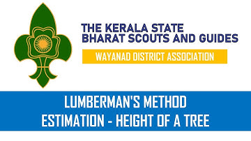 ESTIMATION - LUMBERMAN