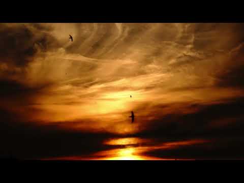 Max Richter - Path 3 / Whose Name Is Written On Water