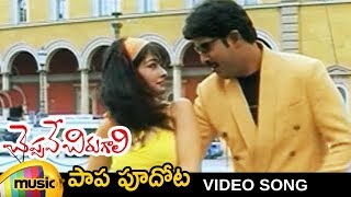 Cheppave Chirugali Movie Songs | Paapa Pudhota Telugu Video Song | Venu | Ashima Bhalla | Abhirami