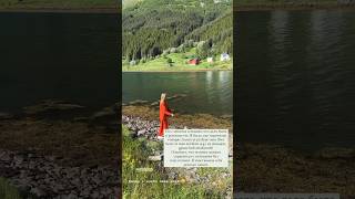 Моя история карьеры в самой «богатой» стране - Норвегия🗾 #норвегия #норвежский #shortsvideo