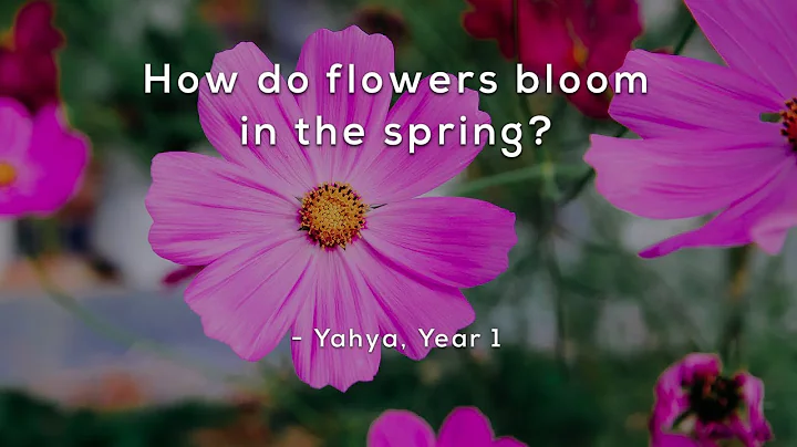 How do flowers bloom in the spring? - DayDayNews