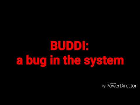 BUDDI: a bug in the system                In 3 days