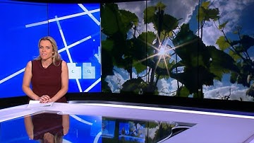 High-tech winemaking