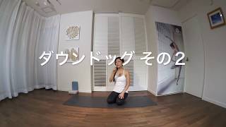 ヨガウェア ヨガマット イージーヨガ 市川瑛子のヨガ教室ダウンドッグその２